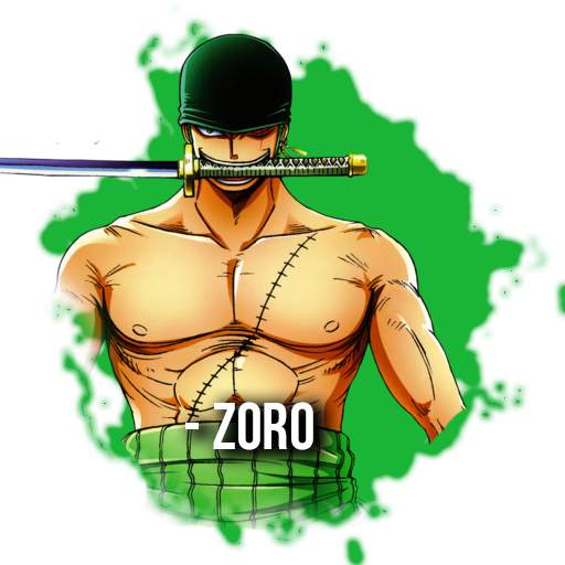 VideoRoom zoro_007