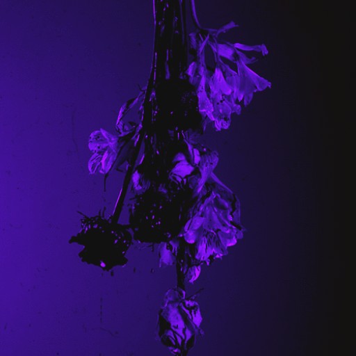 Trovo profile picture for @Grown