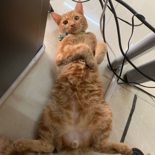 Live-Room - epic_legend159