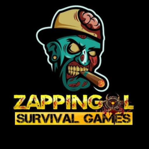 zappingol avatar