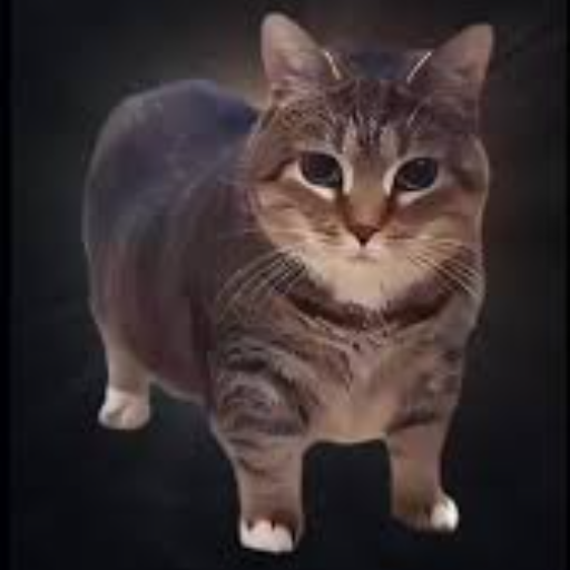 IamcatX avatar