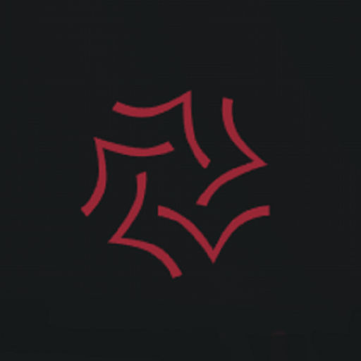 XDDSHOW