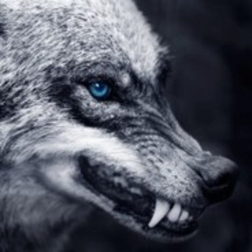 ShidoWolf avatar