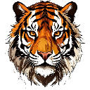 TigerStreams