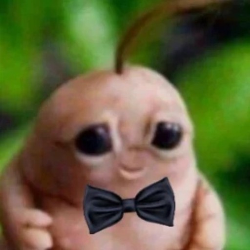 Tochanchik avatar