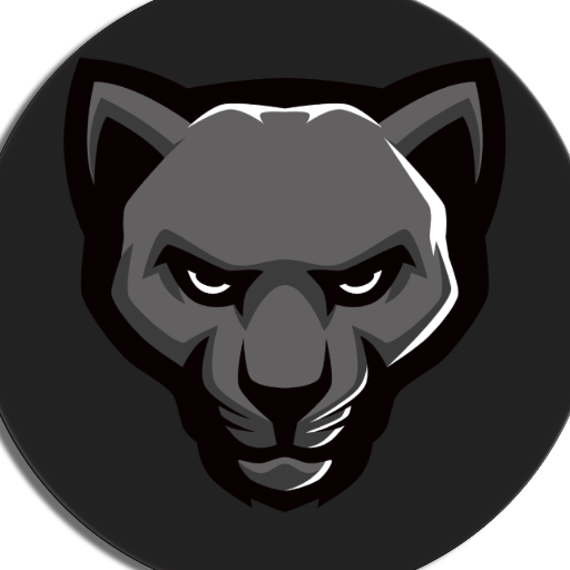 N1ghtday avatar