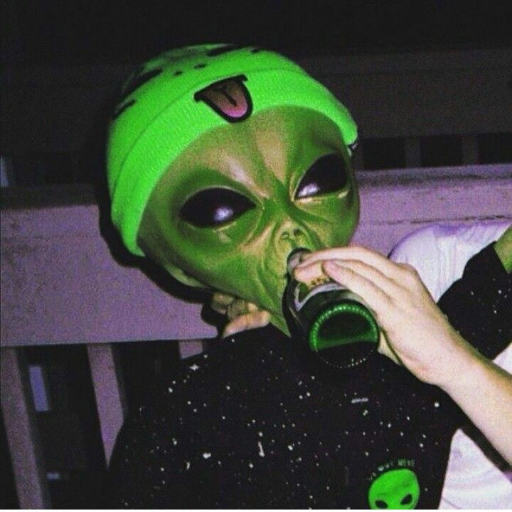 ninhoviejo avatar