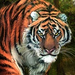 Trovo profile picture for @Hklm